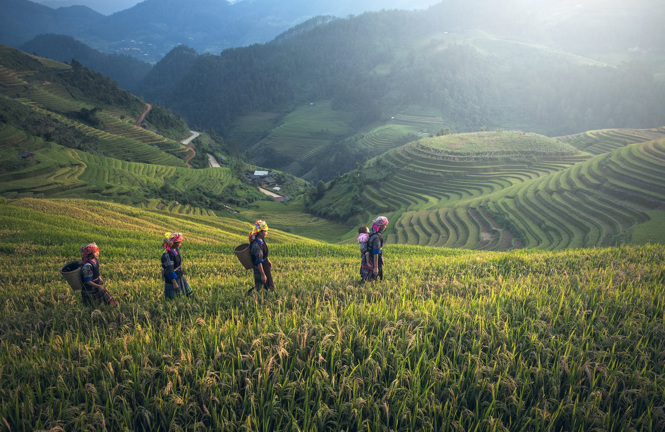 Building Climate-Positive and Resilient Global Food Systems